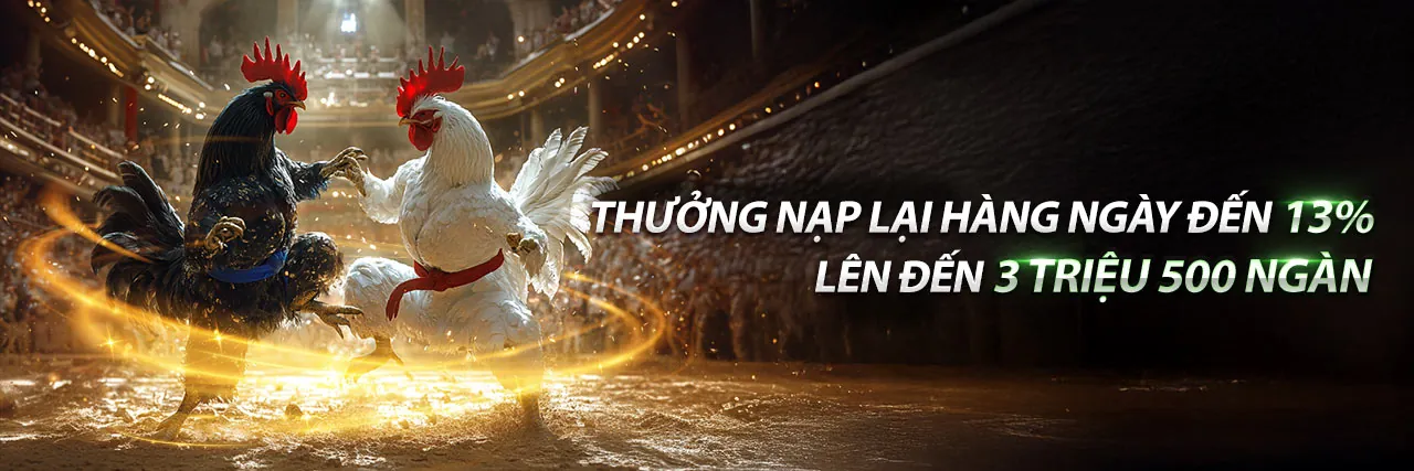 Hình ảnh một trận đá gà kịch tính tại Đá Gà Alo789.Tip